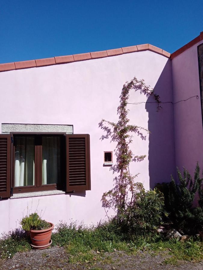Pessego - Al Villa Arouca Eksteriør bilde